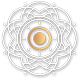 icon logo