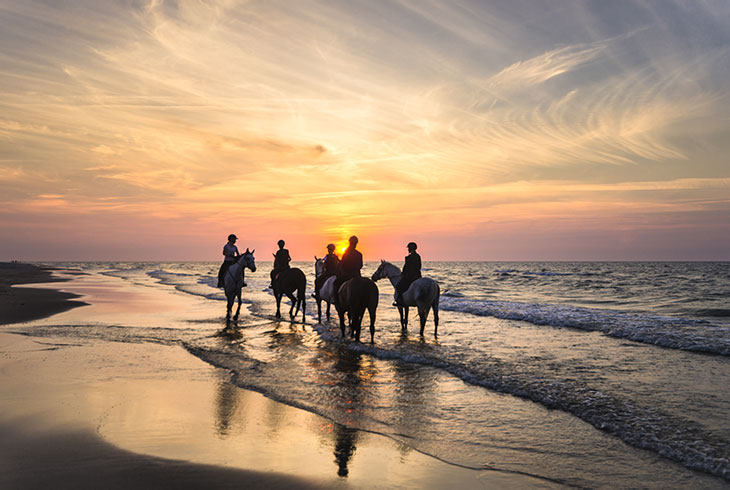 Experience the Rugged Landscape of Santorini, Greece by Horseback